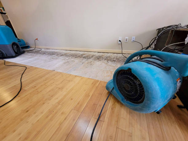Professional Emergency Water Damage technician working in Old Bethpage, NY